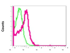 Flow Cytometry (Intracellular) - Anti-Cathepsin V antibody [EPR10723(B)] - BSA and Azide free (AB249378)