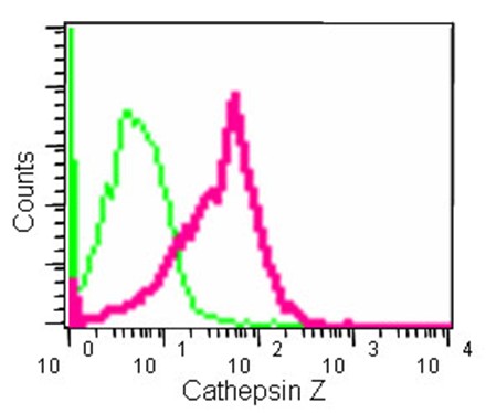 Flow Cytometry (Intracellular) - Anti-Cathepsin Z antibody [EPR14357-7] (AB182575)