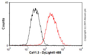 Flow Cytometry - Anti-CaV1.3 antibody [S48] (AB85491)