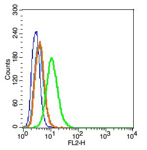 Flow Cytometry (Intracellular) - Anti-Caveolin-1 antibody (AB214448), expandable thumbnail