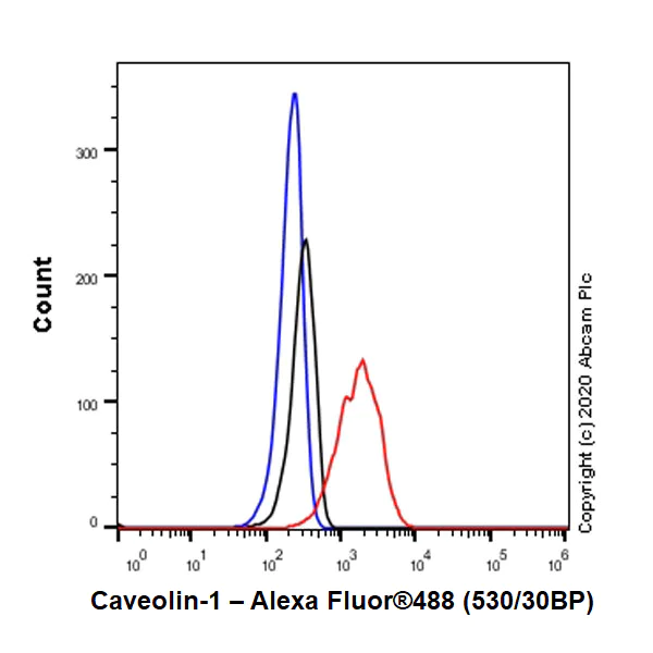 Flow Cytometry - Anti-Caveolin-1 antibody [E249] - BSA and Azide free (AB230262)