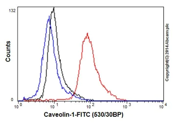 Flow Cytometry (Intracellular) - Anti-Caveolin-1 antibody [EPR15554] - BSA and Azide free (AB240332)