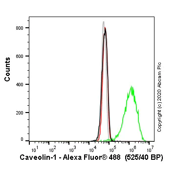 Flow Cytometry (Intracellular) - Anti-Caveolin-1 antibody [EPR15554] - BSA and Azide free (AB240332)