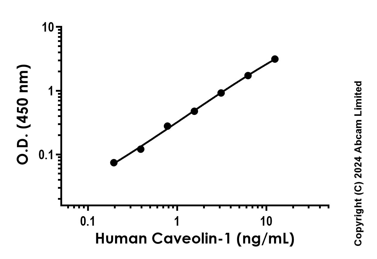 Sandwich ELISA - Anti-Caveolin 1 antibody [YCA-R15554-53-6 H3L2] - BSA and Azide free (Capture) (AB288598)