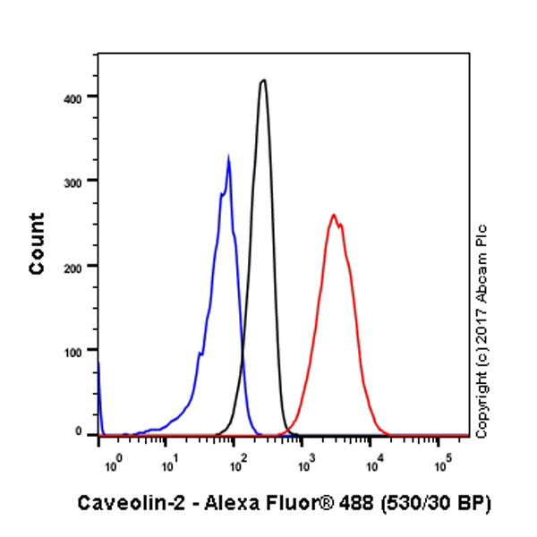 Flow Cytometry (Intracellular) - Anti-Caveolin-2 antibody [EPR2220] - Caveolae Marker (AB79397), expandable thumbnail