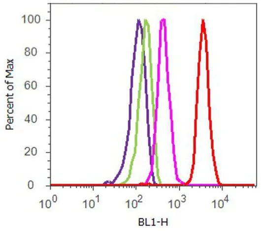 Flow Cytometry - Anti-Caveolin-3 antibody - Caveolae Marker (AB2912)