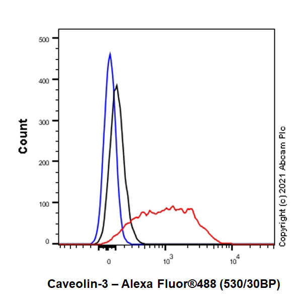 Flow Cytometry (Intracellular) - Anti-Caveolin-3 antibody [RM1042] (ab289544), expandable thumbnail