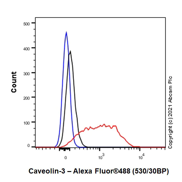 Flow Cytometry (Intracellular) - Anti-Caveolin-3 antibody [RM1042] - Caveolae Marker (AB289544)