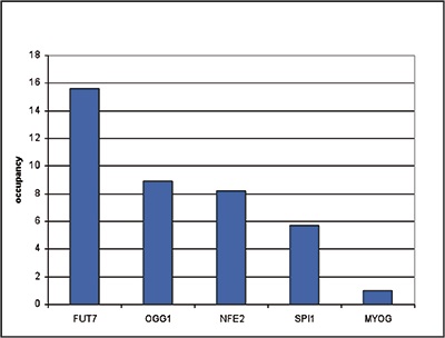 ChIP - Anti-CBFb antibody - ChIP Grade (AB195411)