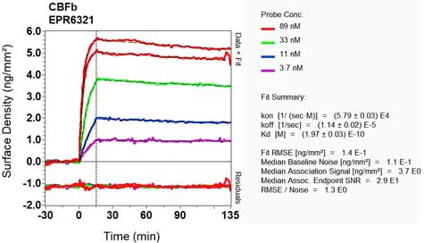 OI-RD Scanning - Anti-CBFb antibody [EPR6321] (AB124693)