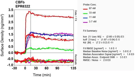 OI-RD Scanning - Anti-CBFb antibody [EPR6322] (AB133600)