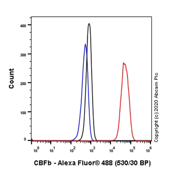 Flow Cytometry (Intracellular) - Anti-CBFb antibody [EPR6322] - BSA and Azide free (AB248572)