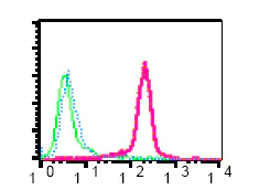 Flow Cytometry (Intracellular) - Anti-CBL (phospho Y674) antibody [EPR2227] - BSA and Azide free (AB247486)