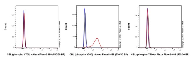 Flow Cytometry (Intracellular) - Anti-CBL (phospho Y700) antibody [EP2225Y] (AB76002)