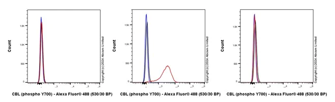 Flow Cytometry (Intracellular) - Anti-CBL (phospho Y700) antibody [EP2225Y] - BSA and Azide free (AB284732)