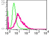 Flow Cytometry (Intracellular) - Anti-CBL (phospho Y774) antibody [E160] (AB32446), expandable thumbnail