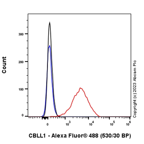 Flow Cytometry (Intracellular) - Anti-CBLL1 antibody [EPR25389-121] - BSA and Azide free (AB316307)