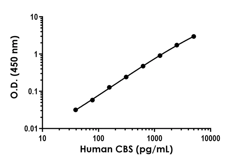 Sandwich ELISA - Anti-CBS antibody [EPR26648-38] - BSA and Azide free (Detector) (AB312871)