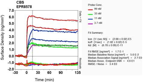 OI-RD Scanning - Anti-CBS antibody [EPR8578] (AB131155)