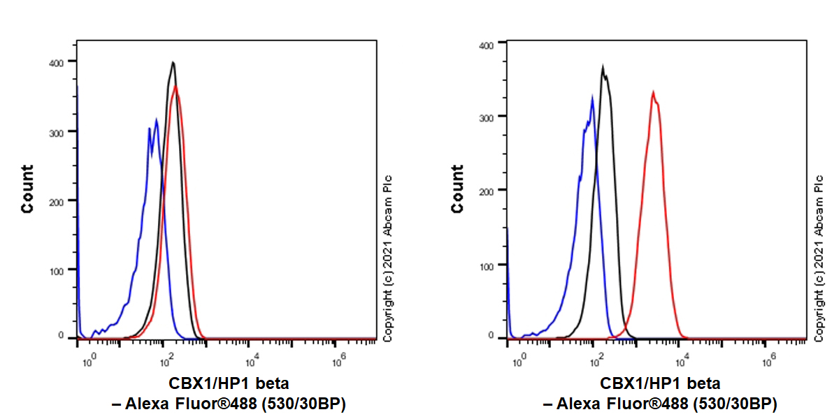 Flow Cytometry (Intracellular) - Anti-CBX1 / HP1 beta antibody [EPR24242-78] (ab270988), expandable thumbnail