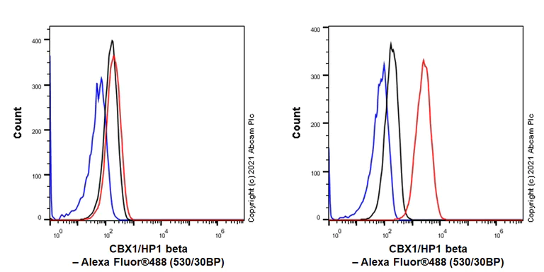 Flow Cytometry (Intracellular) - Anti-CBX1 / HP1 beta antibody [EPR24242-78] - BSA and Azide free (AB288568)