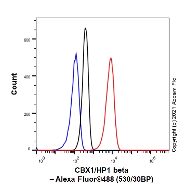 Flow Cytometry (Intracellular) - Anti-CBX1 / HP1 beta antibody [EPR24242-78] - BSA and Azide free (AB288568)