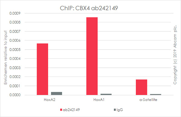 ChIP - Anti-CBX4 antibody [EPR23053-7] - ChIP Grade - BSA and Azide free (AB269462), expandable thumbnail