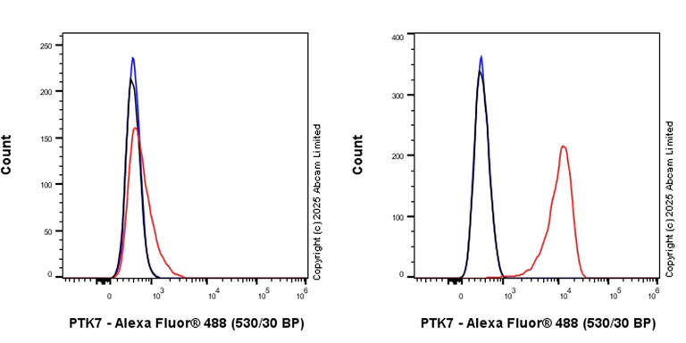 Flow Cytometry - Anti-CCK4 antibody [EPR30150-507] (AB325170)