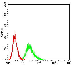 Flow Cytometry - Anti-CCR1 antibody [8E10G6] (AB233832)