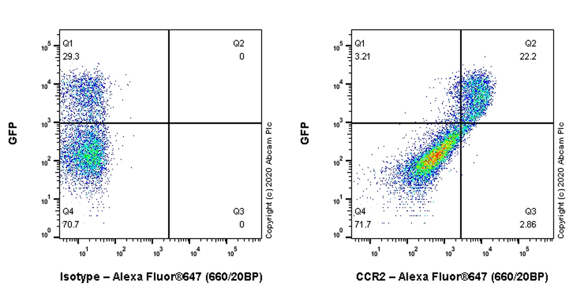 Flow Cytometry - Anti-CCR2 antibody [EPR20844-15] (ab273050), expandable thumbnail