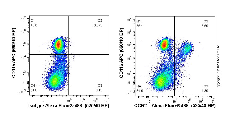 Flow Cytometry - Anti-CCR2 antibody [EPR20844-15] (ab273050), expandable thumbnail