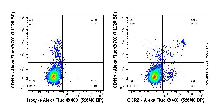 Flow Cytometry - Anti-CCR2 antibody [EPR20844-15] (ab273050), expandable thumbnail