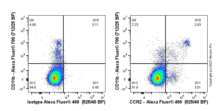 Flow Cytometry - Anti-CCR2 antibody [EPR20844-15] (AB273050)