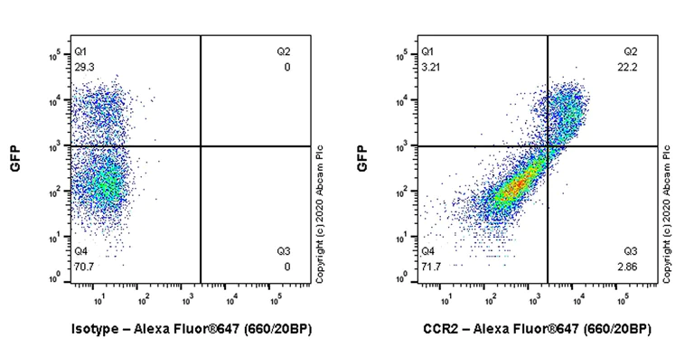 Flow Cytometry - Anti-CCR2 antibody [EPR20844-15] - BSA and Azide free (AB273061)