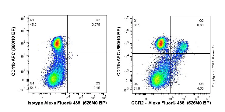Flow Cytometry - Anti-CCR2 antibody [EPR20844-15] - BSA and Azide free (AB273061)