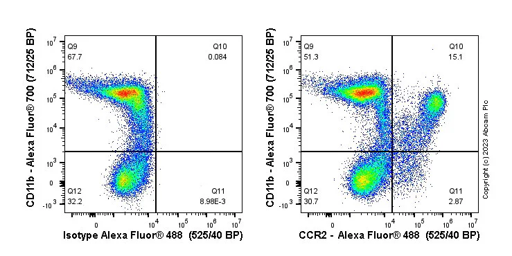 Flow Cytometry - Anti-CCR2 antibody [EPR20844-15] - BSA and Azide free (AB273061)
