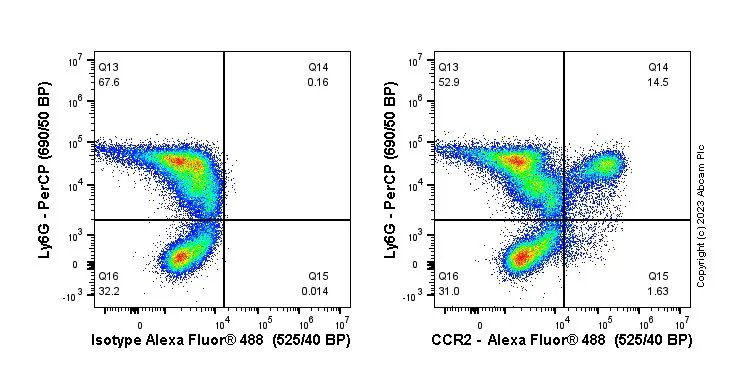 Flow Cytometry - Anti-CCR2 antibody [EPR20844-15] - BSA and Azide free (AB273061)