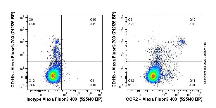 Flow Cytometry - Anti-CCR2 antibody [EPR20844-15] - BSA and Azide free (AB273061)