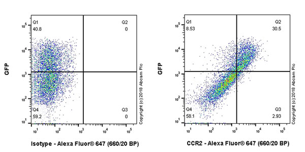 Flow Cytometry - Anti-CCR2 antibody [EPR20844] (AB216863)