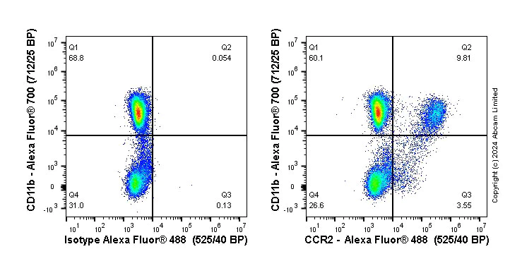 Flow Cytometry - Anti-CCR2 antibody [EPR20844] - BSA and Azide free (AB233701)
