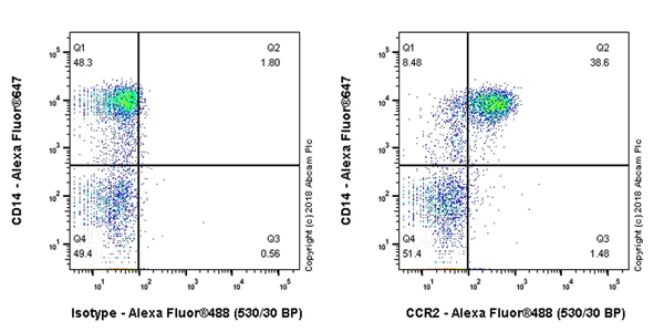 Flow Cytometry - Anti-CCR2 antibody [EPR22191] - BSA and Azide free (AB243292)