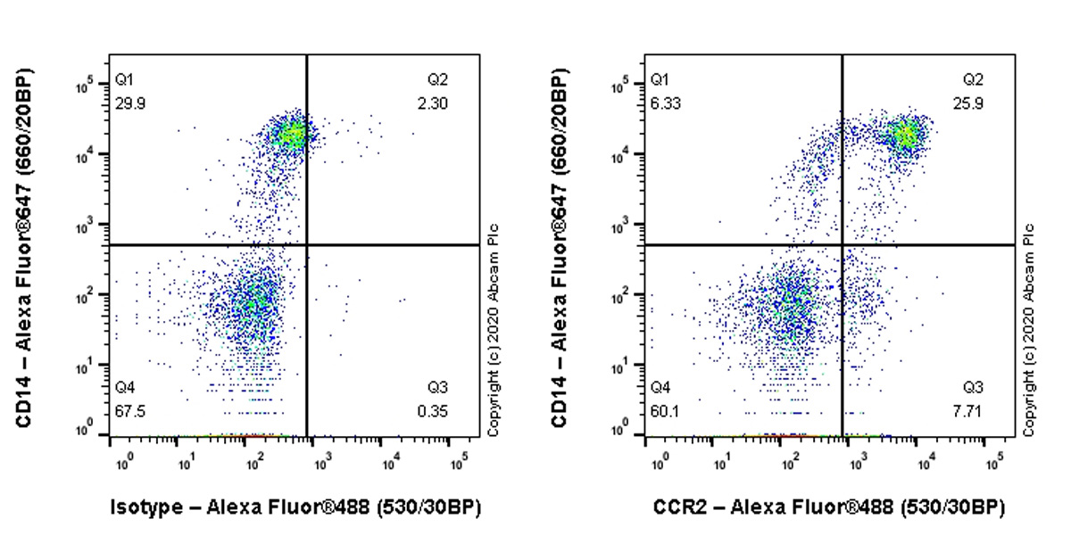 Flow Cytometry - Anti-CCR2 antibody [EPR23494-47] (AB254375), expandable thumbnail
