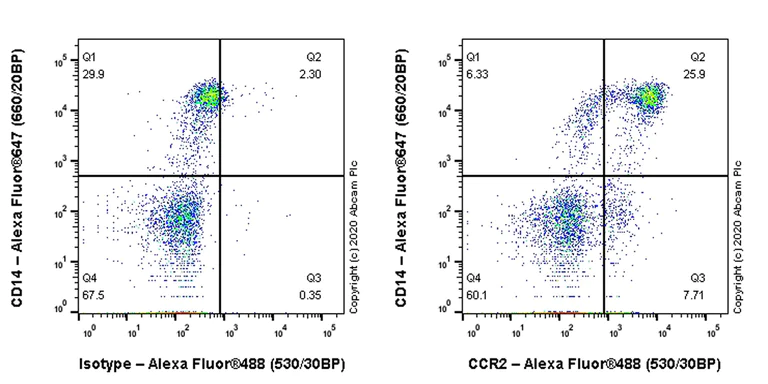 Flow Cytometry - Anti-CCR2 antibody [EPR23494-47] - BSA and Azide free (AB273054)