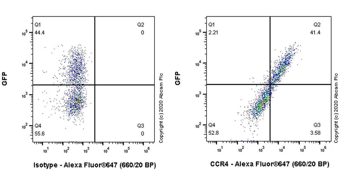 Flow Cytometry - Anti-CCR4 antibody [EPR23502-85] (AB254376), expandable thumbnail