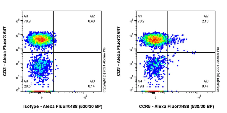 Flow Cytometry - Anti-CCR5 antibody [EPR23449-327] (AB254377)