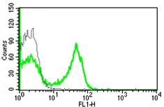 Flow Cytometry - Anti-CCR6 antibody [B-R35] - BSA and Azide free (AB288530)