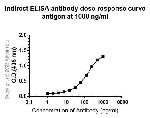 Indirect ELISA - Anti-CCR6 antibody [EPR22259] (AB227036)