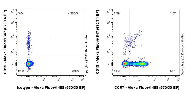 Flow Cytometry - Anti-CCR7 antibody [EPR29703-53] (AB324521)