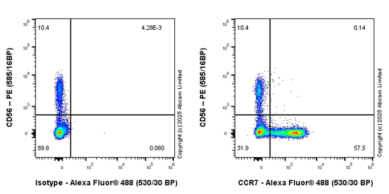 Flow Cytometry - Anti-CCR7 antibody [EPR29703-53] (AB324521)