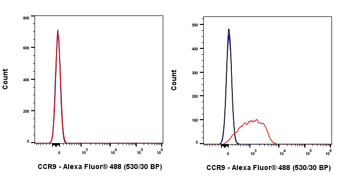 Flow Cytometry - Anti-CCR9 antibody [EPR26524-59] (AB313773), expandable thumbnail